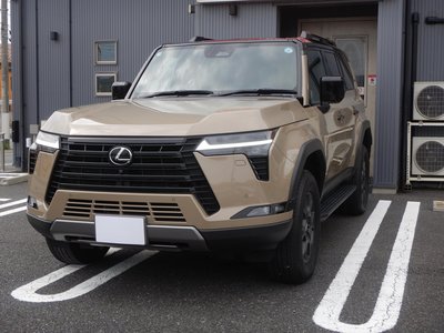 2025 Lexus GX 缩略图 31