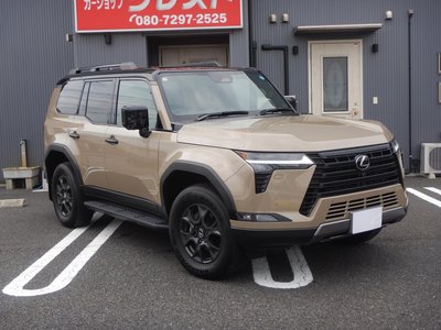 2025 Lexus GX 缩略图 14