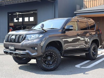 2020 Toyota LAND CRUISER PRADO — фото 12
