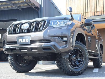 2020 Toyota LAND CRUISER PRADO — миниатюра 61