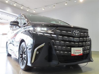 2024 Toyota ALPHARD 照片 29