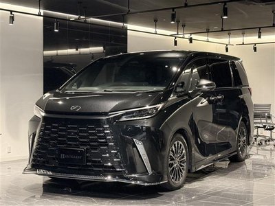 2024 Lexus LM 照片 18