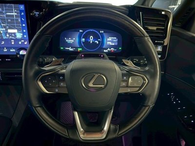 صورة 18 لـ 2024 Lexus LM