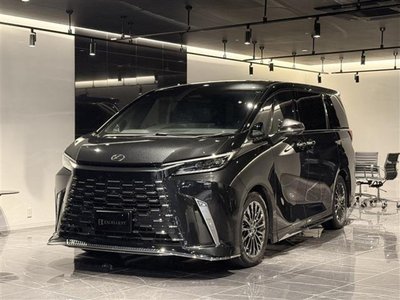 2024 Lexus LM 照片 2