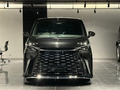 2024 Lexus LM 照片 10