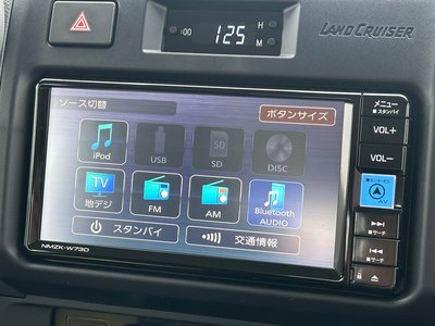 2025 Toyota LAND CRUISER 70 thumbnail 65