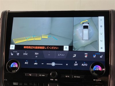 2024 Toyota ALPHARD 照片 9