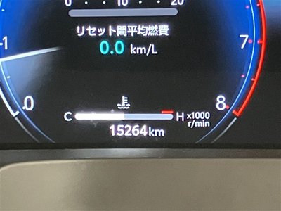 2024 Toyota ALPHARD 照片 21