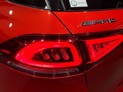 2021 Mercedes-BENZ GLE AMG photo 10
