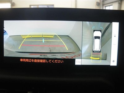 2024 Toyota LAND CRUISER 250 照片 11