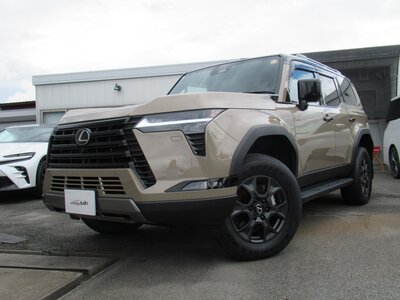 2025 Lexus GX — фото 1