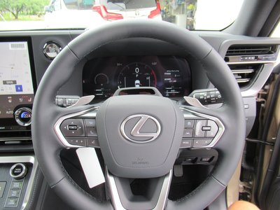 2025 Lexus GX 照片 24