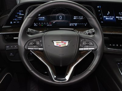 2024 Cadillac ESCALADE 缩略图 20