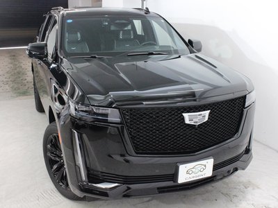 2024 Cadillac ESCALADE 缩略图 25