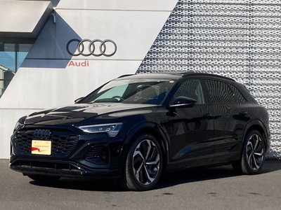 2024 AUDI Q8 E-TRON 照片 1