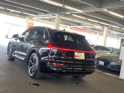 2024 AUDI Q8 E-TRON 照片 5