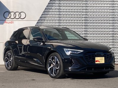 2024 AUDI Q8 E-TRON 照片 54