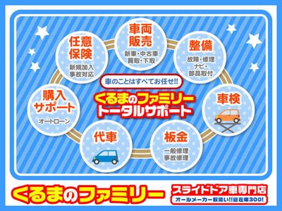 2025 Toyota ALPHARD photo 10