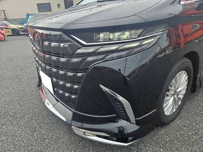 2025 Toyota ALPHARD photo 9