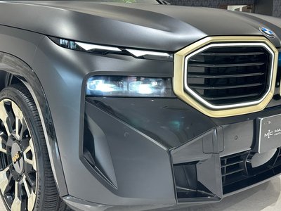 صورة 11 لـ 2023 BMW XM