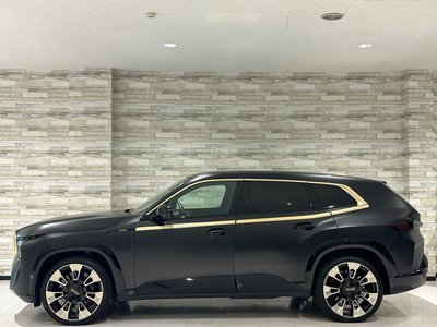 صورة 19 لـ 2023 BMW XM