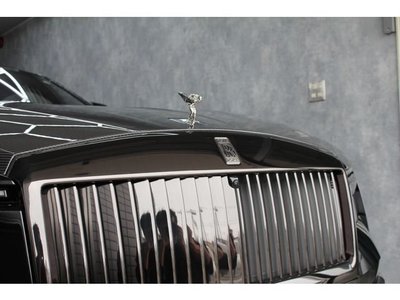 2025 ROLLS-ROYCE SPECTRE 缩略图 19