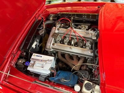 1971 ALFA Romeo JUNIOR ZAGATO 1300 照片 7
