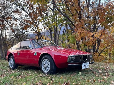 1971 ALFA Romeo JUNIOR ZAGATO 1300 照片 1
