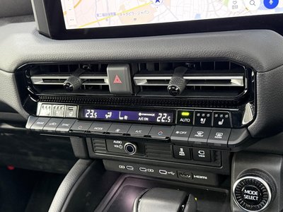 2024 Toyota LAND CRUISER 250 photo 52