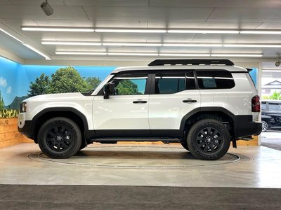 2024 Toyota LAND CRUISER 250 — фото 32