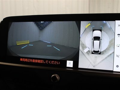 2023 Toyota CROWN SPORT thumbnail 138