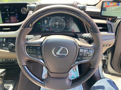 2019 Lexus ES thumbnail 31