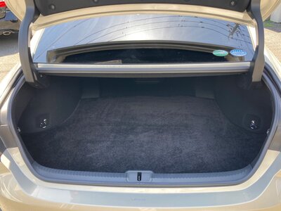 2019 Lexus ES thumbnail 50