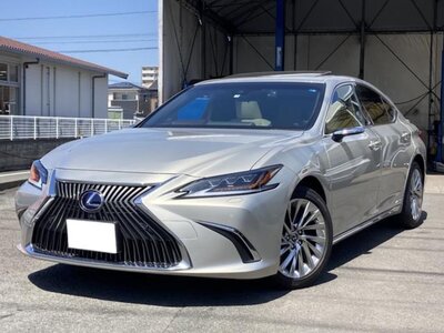 2019 Lexus ES photo 1