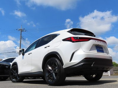 2023 Lexus NX 缩略图 44