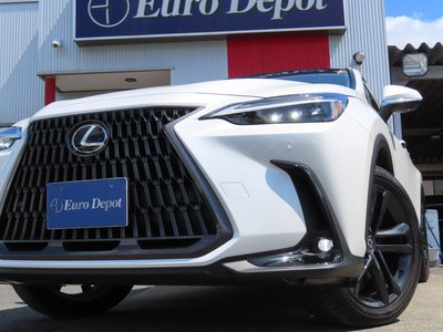 2023 Lexus NX 缩略图 24