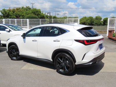 2023 Lexus NX 缩略图 8