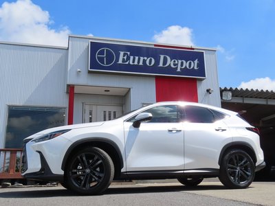 2023 Lexus NX 缩略图 10