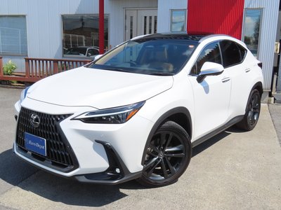 2023 Lexus NX 缩略图 28