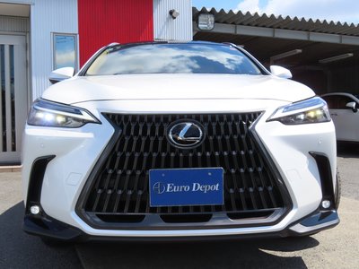2023 Lexus NX 缩略图 32