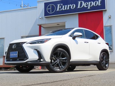 2023 Lexus NX 缩略图 21