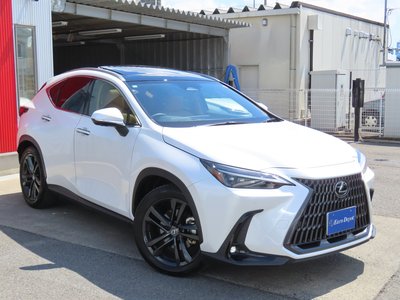 2023 Lexus NX 缩略图 30