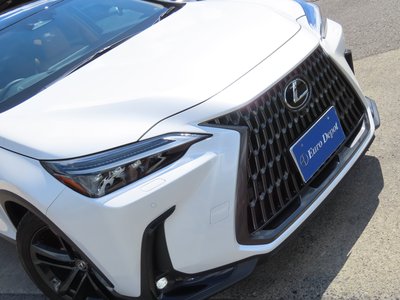 2023 Lexus NX 缩略图 31