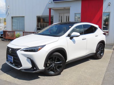 2023 Lexus NX 缩略图 27