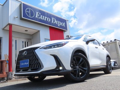 2023 Lexus NX 缩略图 23