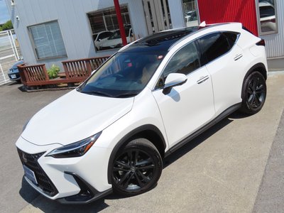 2023 Lexus NX 缩略图 3