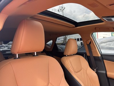2025 Lexus NX photo 12