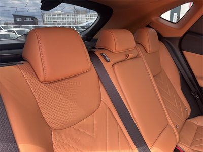 2025 Lexus NX photo 10