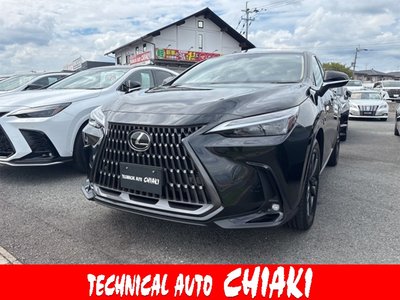 2025 Lexus NX photo 1