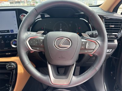 2025 Lexus NX photo 14